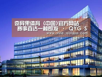 案例展示五