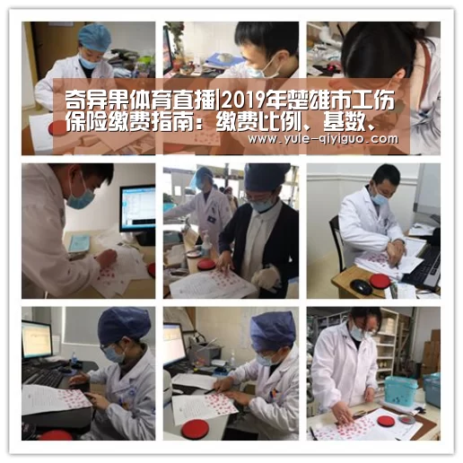 奇异果体育app